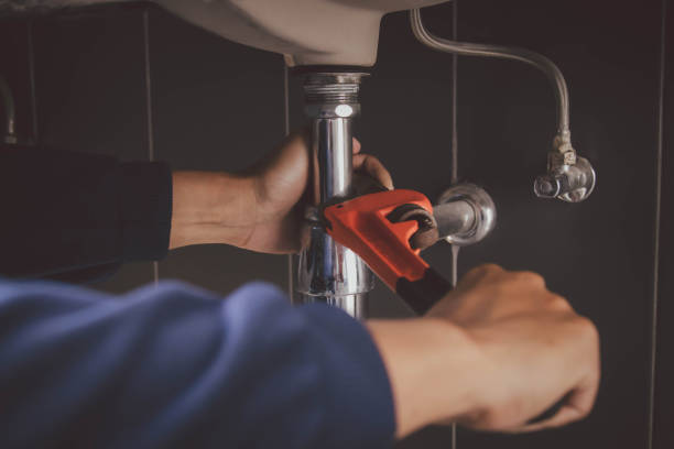 Best Local Plumber Services  in New Pek, IN